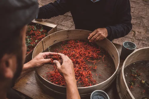 Hands sorting dried red petals in wooden sieves