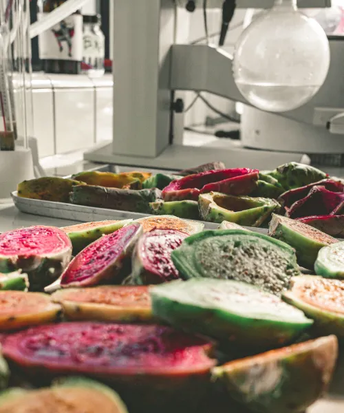 Sliced cactus fruits in front of laboratory glassware