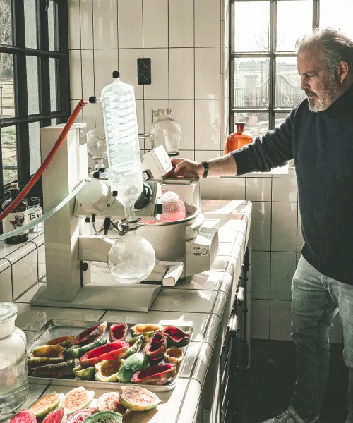 Distiller at a rotary evaporator in the lab with sliced cactus fruits