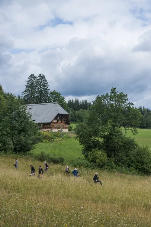 Group walking across a meadow below a Black Forest farmhouse