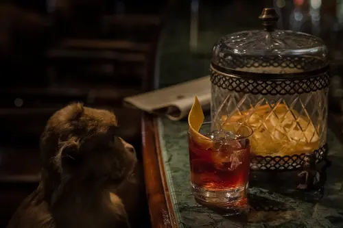 Negroni with an orange slice beside a glass jar