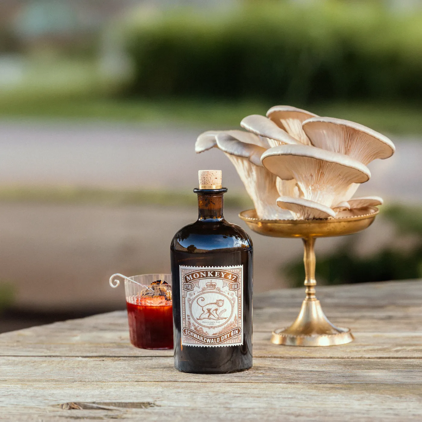 Monkey 47 Distiller's Cut 2026 bottle with mushrooms and a cocktail