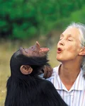 Jane Goodall with a chimpanzee
