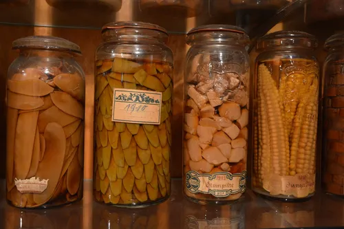 Rows of glass jars with preserved vegetables and fruit