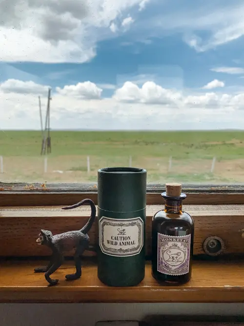 Monkey 47 bottle and a monkey figurine on a train window ledge