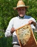 Beekeeper holding a honeycomb frame