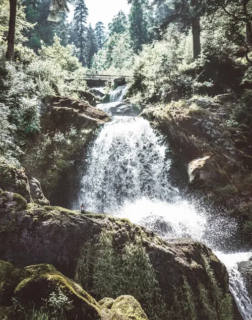 Triberg Falls cascading through the forest