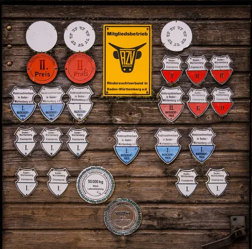 Awards and plaques on a wooden wall