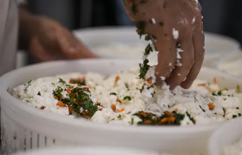 Hand mixing herbs into fresh cream cheese