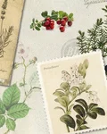 Collage of botanical illustrations, postcards and a Monkey 47 bottle