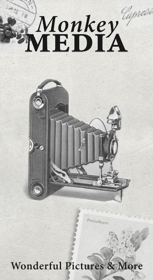 Monkey Media banner with a vintage folding camera