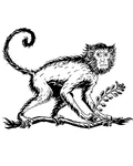 Illustrated monkey sitting on a branch, Monkey 47 mascot